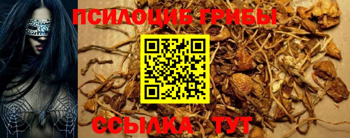 Псилоцибиновые грибы Magic Shrooms Уссурийск